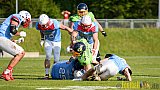 Essen Assindia Cardinals vs. Bonn Gamecocks - 06.05.2017 GFL2: Essen Assindia Cardinals vs. Bonn Gamecocks (35:18)