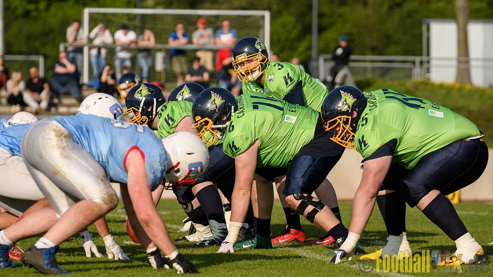 Essen Assindia Cardinals vs. Bonn Gamecocks - 06.05.2017 GFL2: Essen Assindia Cardinals vs. Bonn Gamecocks (35:18)