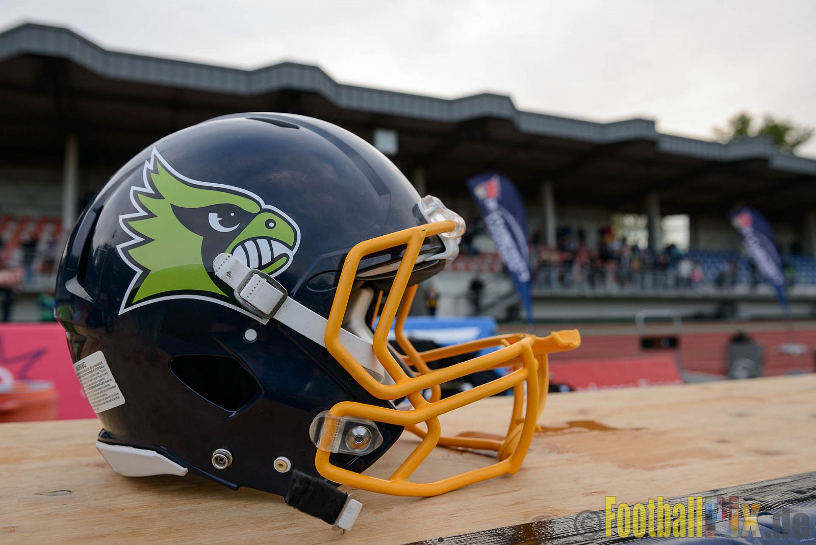 Essen Assindia Cardinals vs. Bonn Gamecocks - 06.05.2017 GFL2: Essen Assindia Cardinals vs. Bonn Gamecocks (35:18)