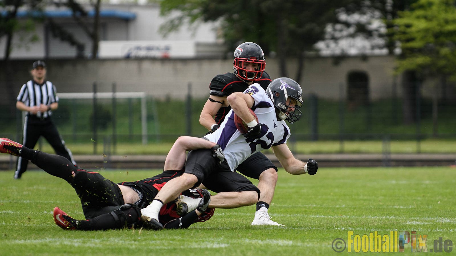 14.05.2017 GFL2: Düsseldorf Panther vs. Langenfeld Longhorns (47:06)