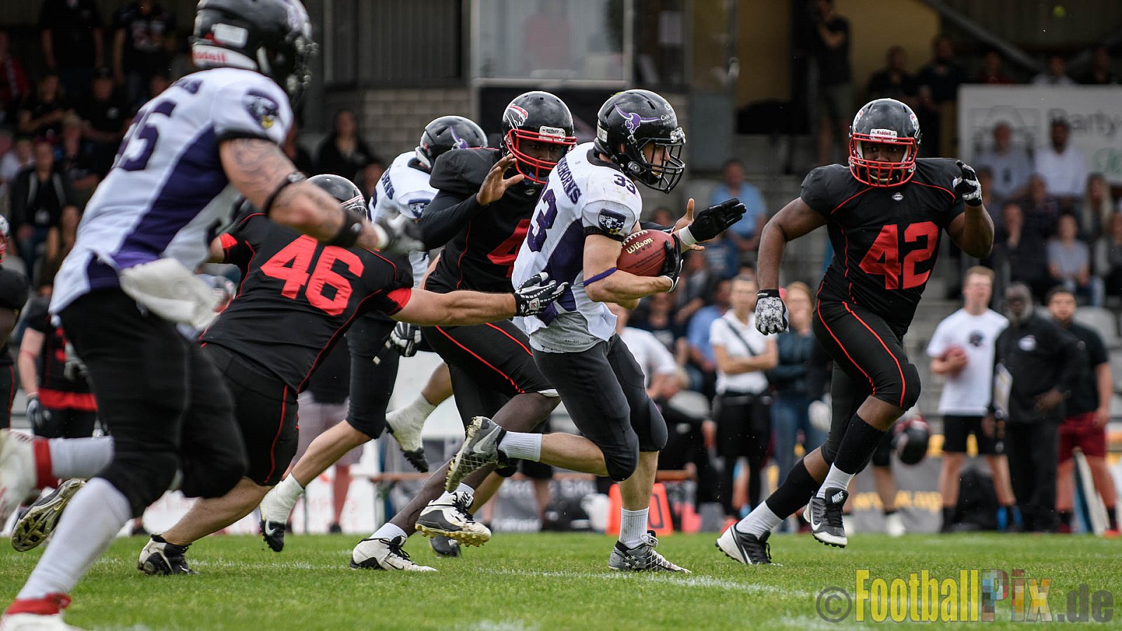 Düsseldorf Panther vs. Langenfeld Longhorns - 14.05.2017 GFL2: Düsseldorf Panther vs. Langenfeld Longhorns (47:06)