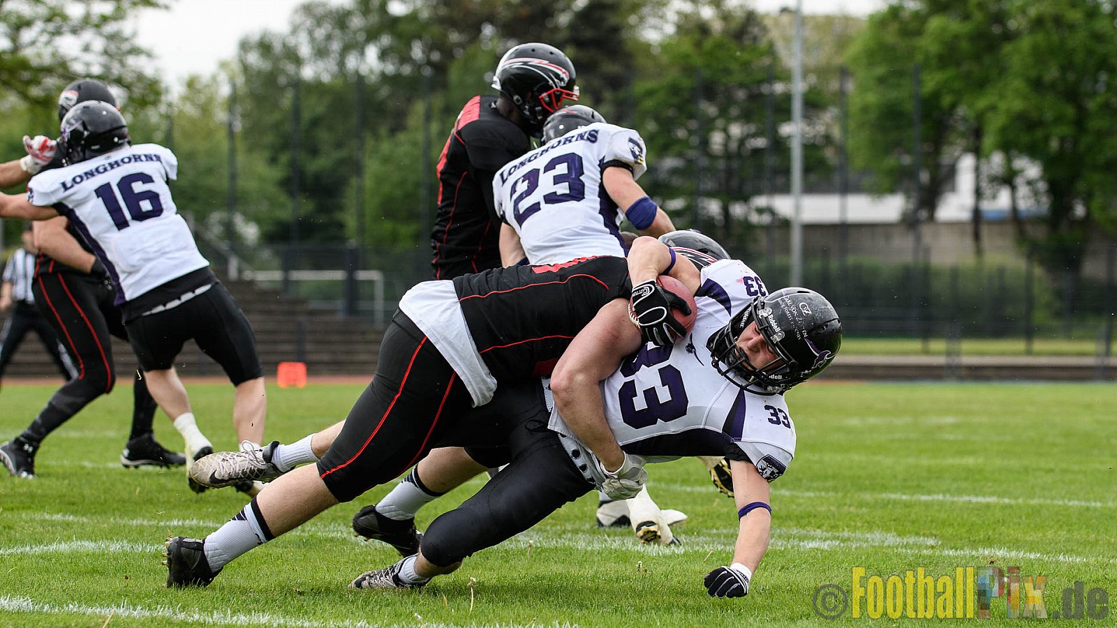 Düsseldorf Panther vs. Langenfeld Longhorns - 14.05.2017 GFL2: Düsseldorf Panther vs. Langenfeld Longhorns (47:06)