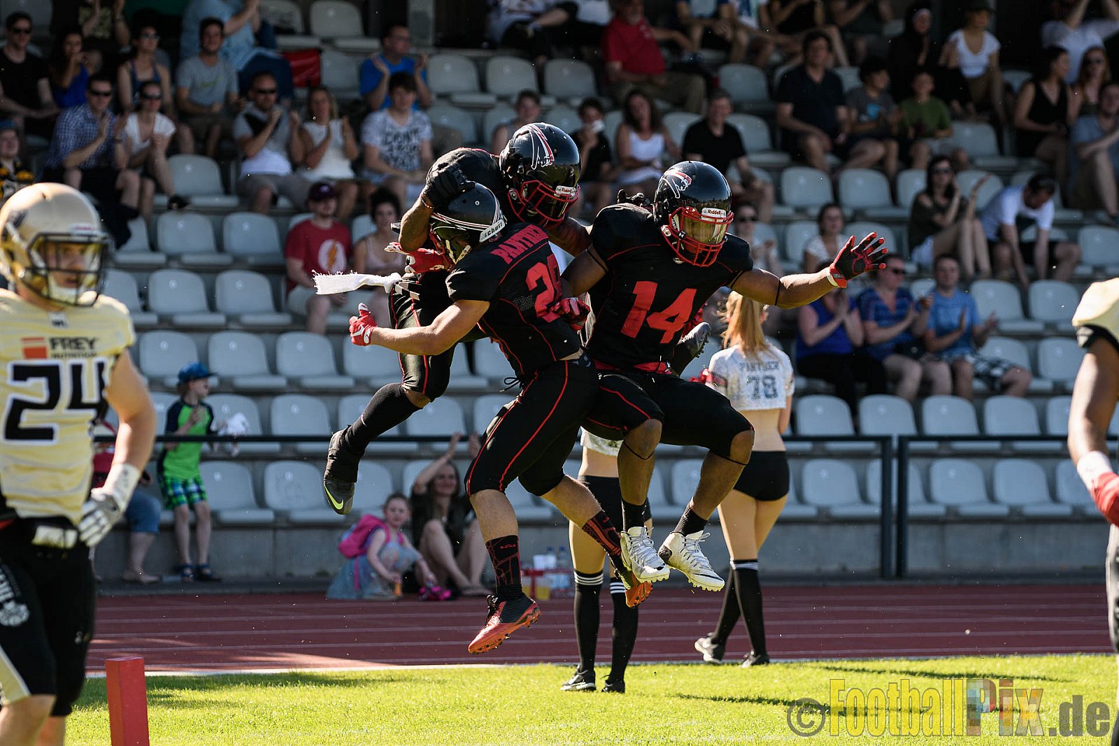 Düsseldorf Panther vs. Paderborn Dolphins - 27.05.2017 GFL2: Düsseldorf Panther vs. Paderborn Dolphins (16:0)
