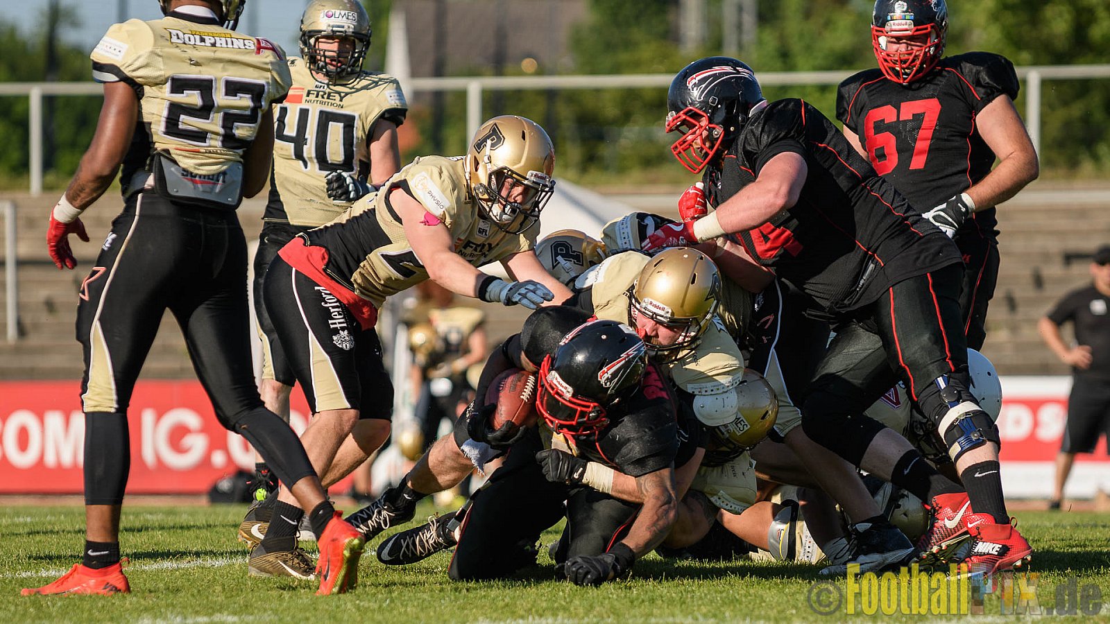 Düsseldorf Panther vs. Paderborn Dolphins - 27.05.2017 GFL2: Düsseldorf Panther vs. Paderborn Dolphins (16:0)