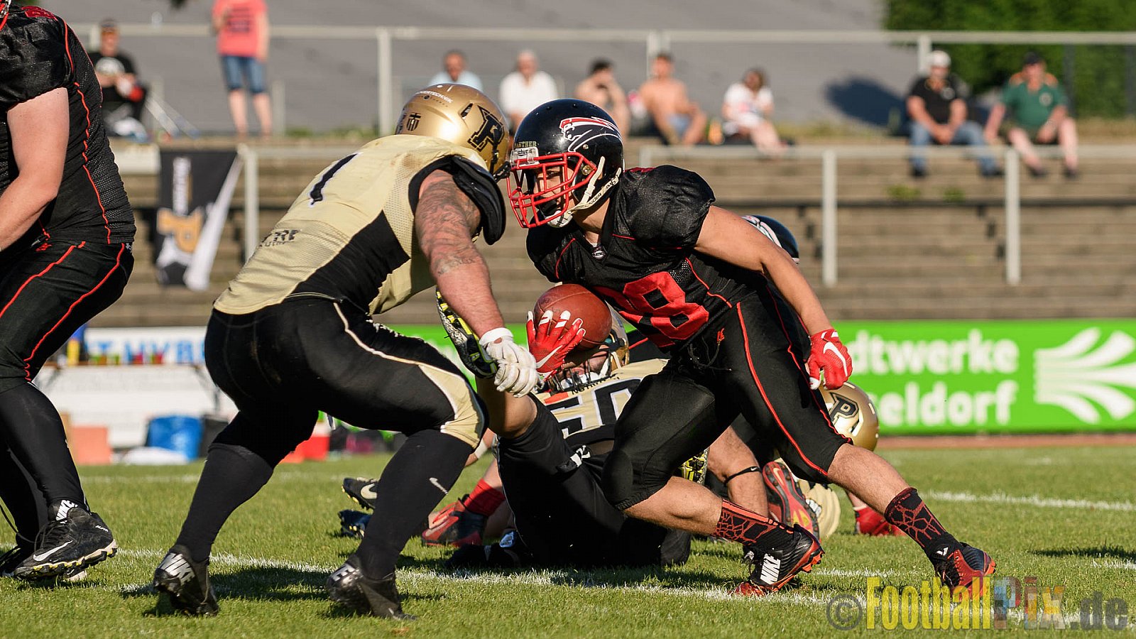 Düsseldorf Panther vs. Paderborn Dolphins - 27.05.2017 GFL2: Düsseldorf Panther vs. Paderborn Dolphins (16:0)