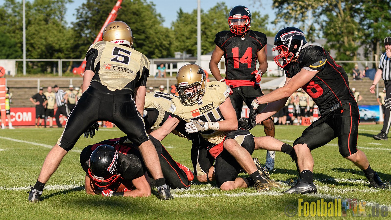 Düsseldorf Panther vs. Paderborn Dolphins - 27.05.2017 GFL2: Düsseldorf Panther vs. Paderborn Dolphins (16:0)