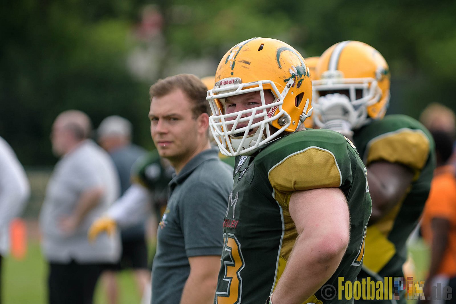 Cologne Crocodiles vs. Kiel Baltic Hurricanes - 29.05.2017 GFL Nord: Cologne Crocodiles vs. Kiel Baltic Hurricanes (41:65)