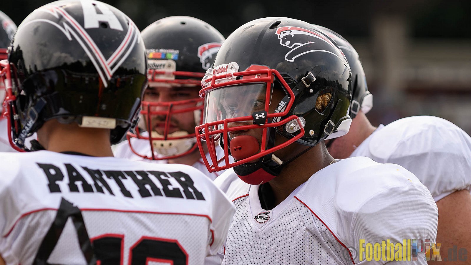 Bonn Gamecocks vs. Düsseldorf Panther - 03.06.2017 GFL2: Bonn Gamecocks vs. Düsseldorf Panther (21:49)