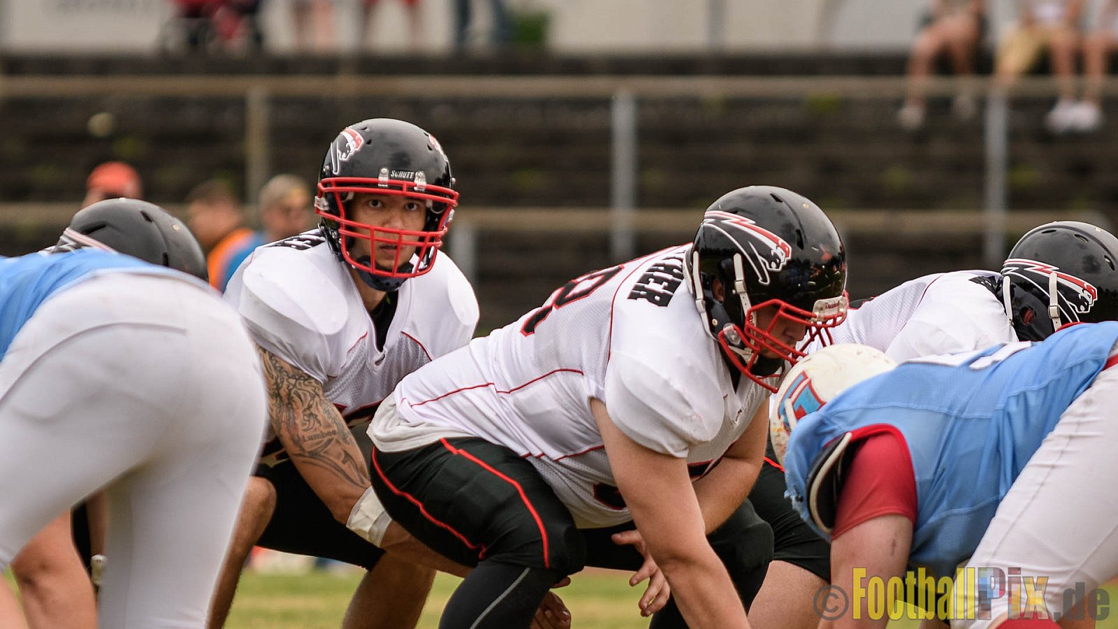 Bonn Gamecocks vs. Düsseldorf Panther - 03.06.2017 GFL2: Bonn Gamecocks vs. Düsseldorf Panther (21:49)