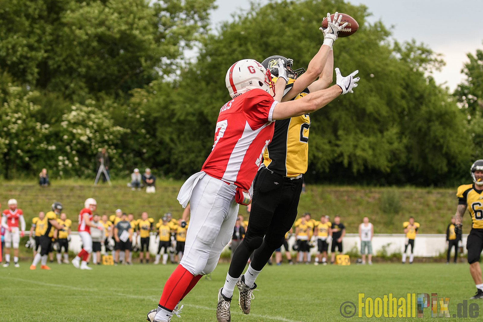 Gelsenkirchen Devils vs. Duisburg Thunderbirds - 04.06.2017 OL NRW: Gelsenkirchen Devils vs. Duisburg Thunderbirds (42:0)
