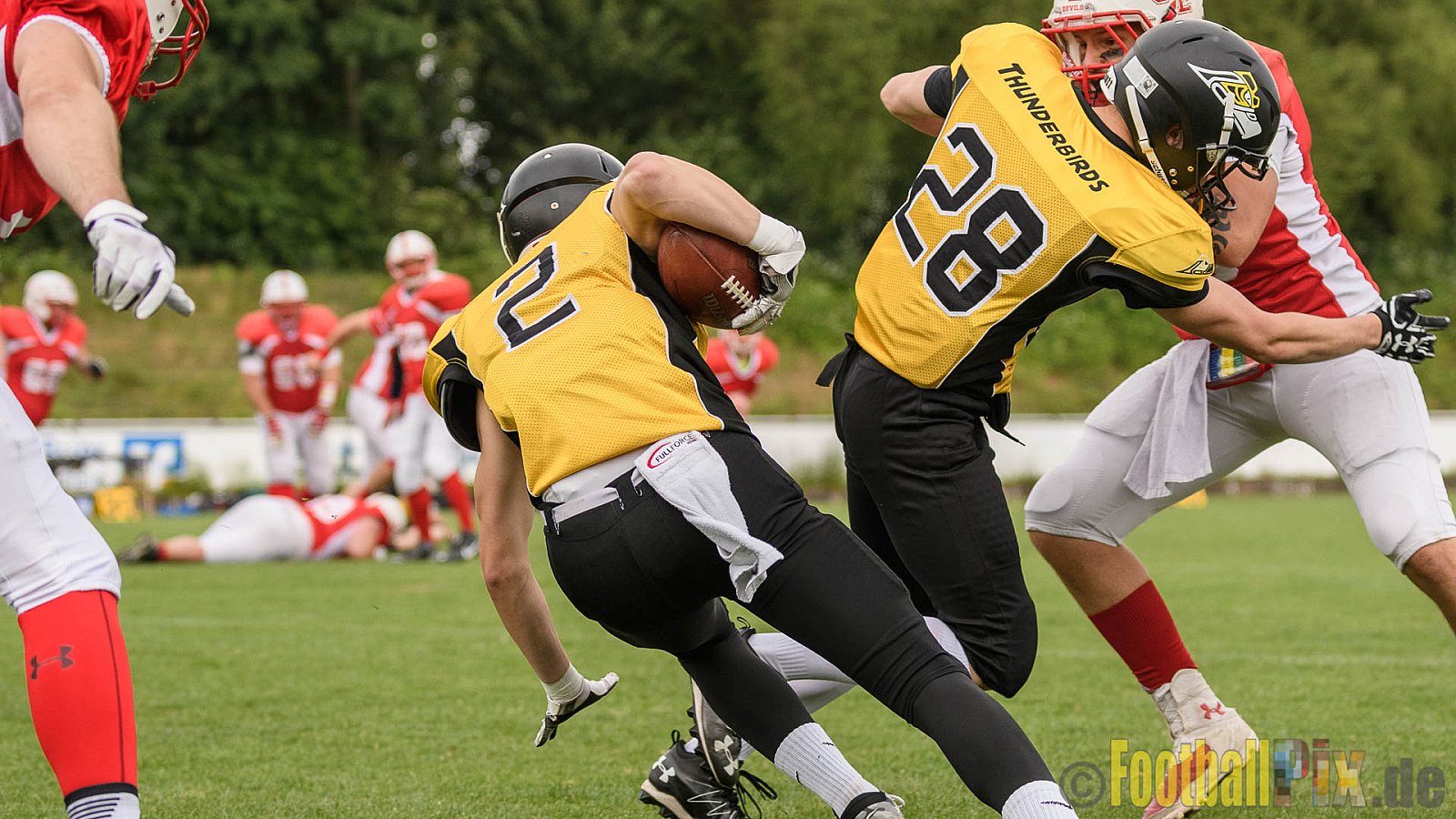 Gelsenkirchen Devils vs. Duisburg Thunderbirds - 04.06.2017 OL NRW: Gelsenkirchen Devils vs. Duisburg Thunderbirds (42:0)