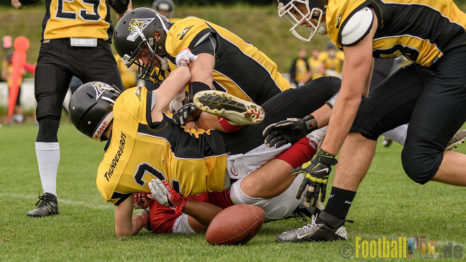 Gelsenkirchen Devils vs. Duisburg Thunderbirds - 04.06.2017 OL NRW: Gelsenkirchen Devils vs. Duisburg Thunderbirds (42:0)