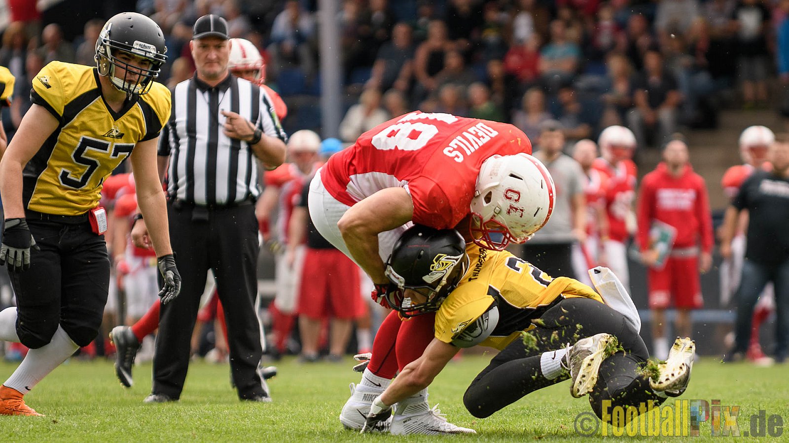 Gelsenkirchen Devils vs. Duisburg Thunderbirds - 04.06.2017 OL NRW: Gelsenkirchen Devils vs. Duisburg Thunderbirds (42:0)