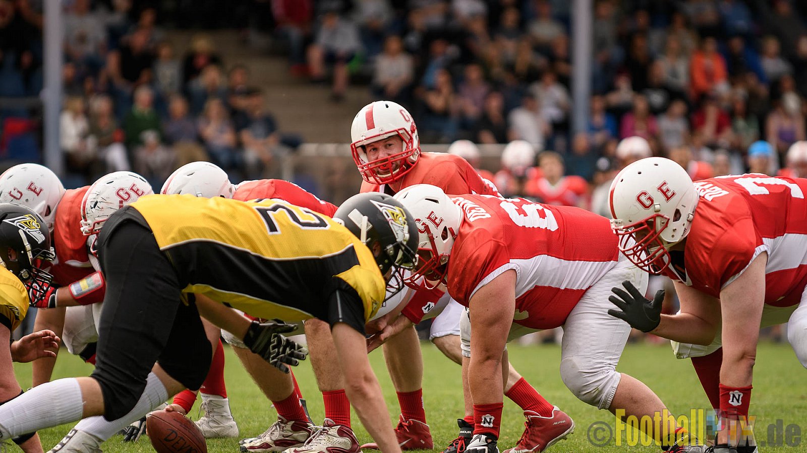 Gelsenkirchen Devils vs. Duisburg Thunderbirds - 04.06.2017 OL NRW: Gelsenkirchen Devils vs. Duisburg Thunderbirds (42:0)