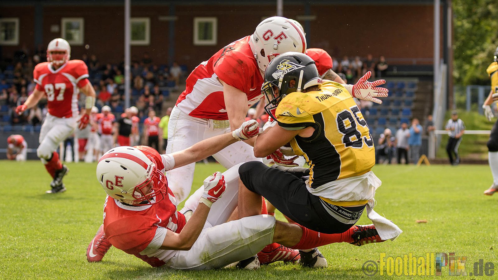 Gelsenkirchen Devils vs. Duisburg Thunderbirds - 04.06.2017 OL NRW: Gelsenkirchen Devils vs. Duisburg Thunderbirds (42:0)