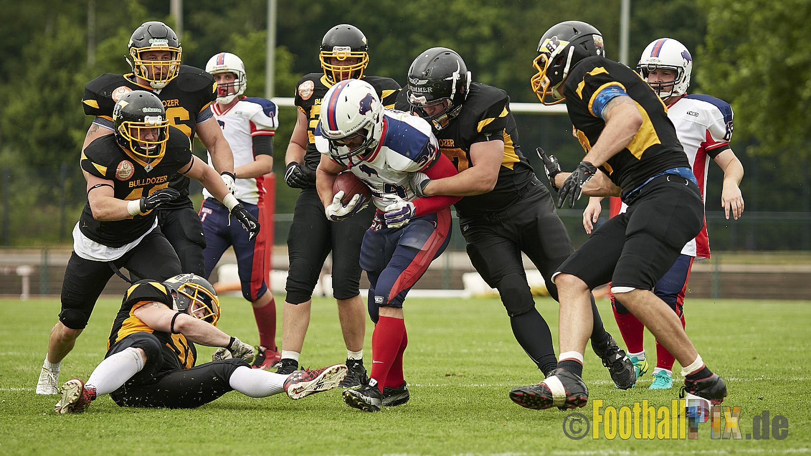 Düsseldorf Bulldozer vs. Kreis Heinsberg Bisons - 17.06.2017 LL NRW: Düsseldorf Bulldozer vs. Kreis Heinsberg Bisons (63:28)