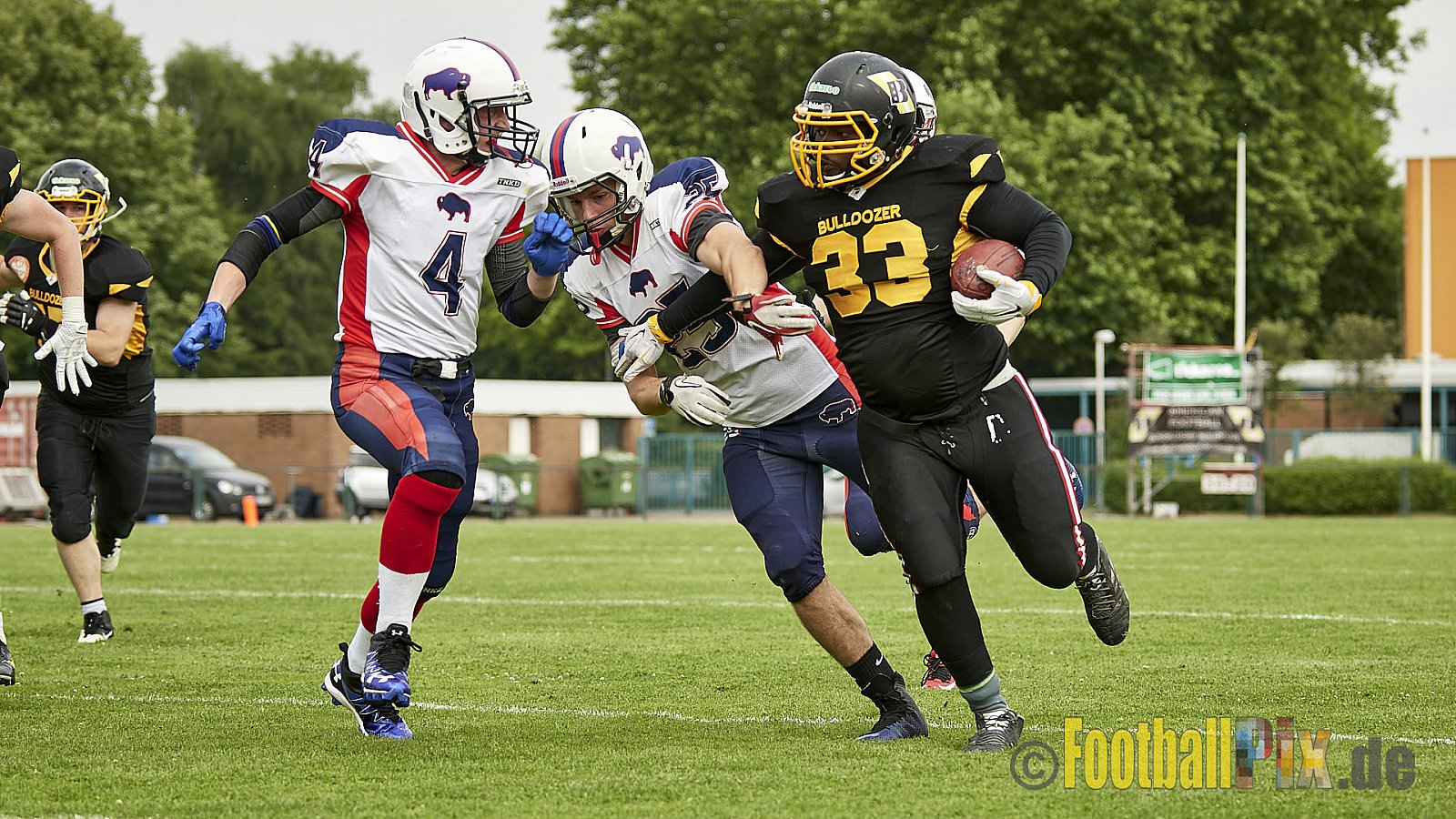 Düsseldorf Bulldozer vs. Kreis Heinsberg Bisons - 17.06.2017 LL NRW: Düsseldorf Bulldozer vs. Kreis Heinsberg Bisons (63:28)
