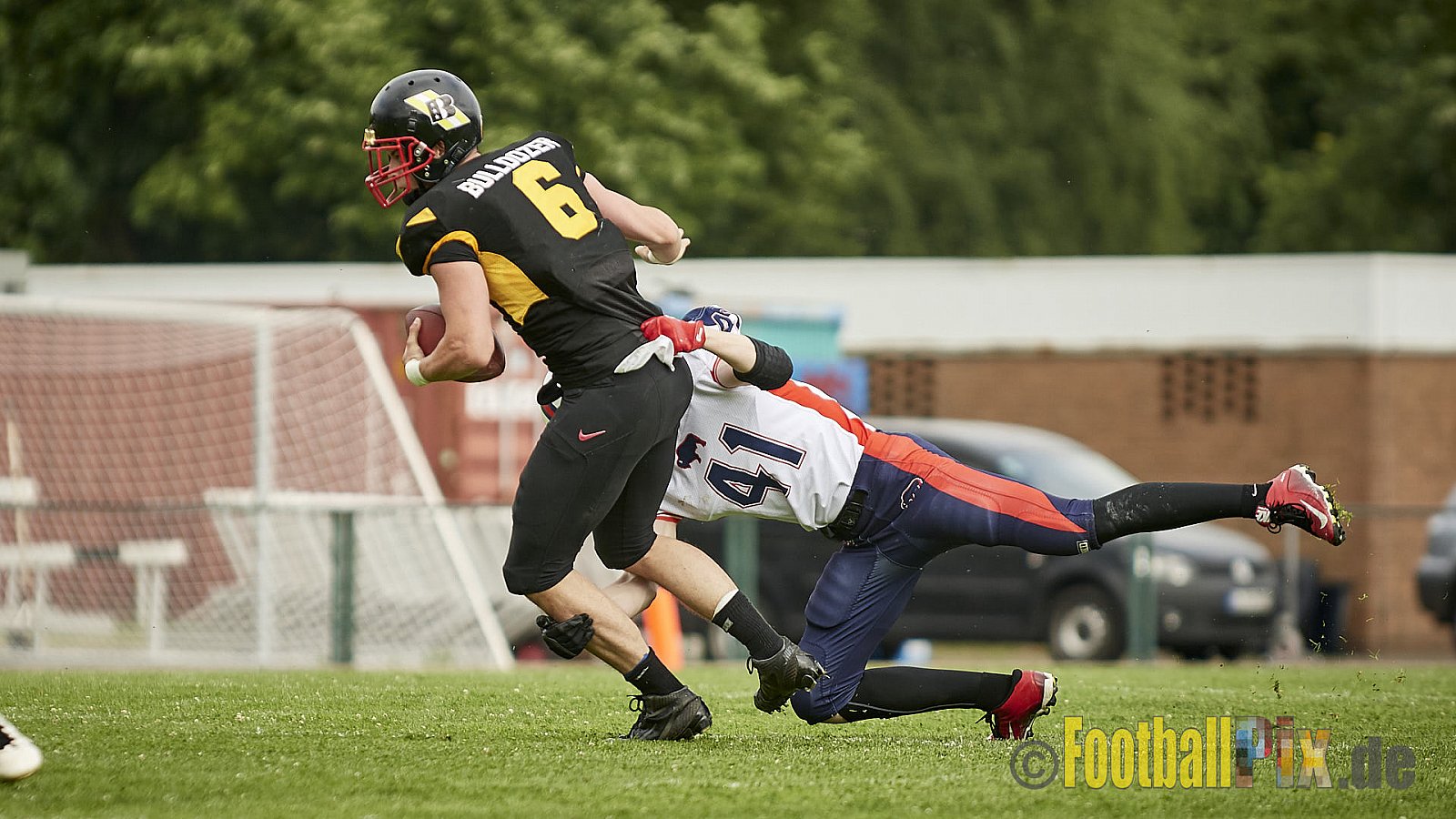 Düsseldorf Bulldozer vs. Kreis Heinsberg Bisons - 17.06.2017 LL NRW: Düsseldorf Bulldozer vs. Kreis Heinsberg Bisons (63:28)