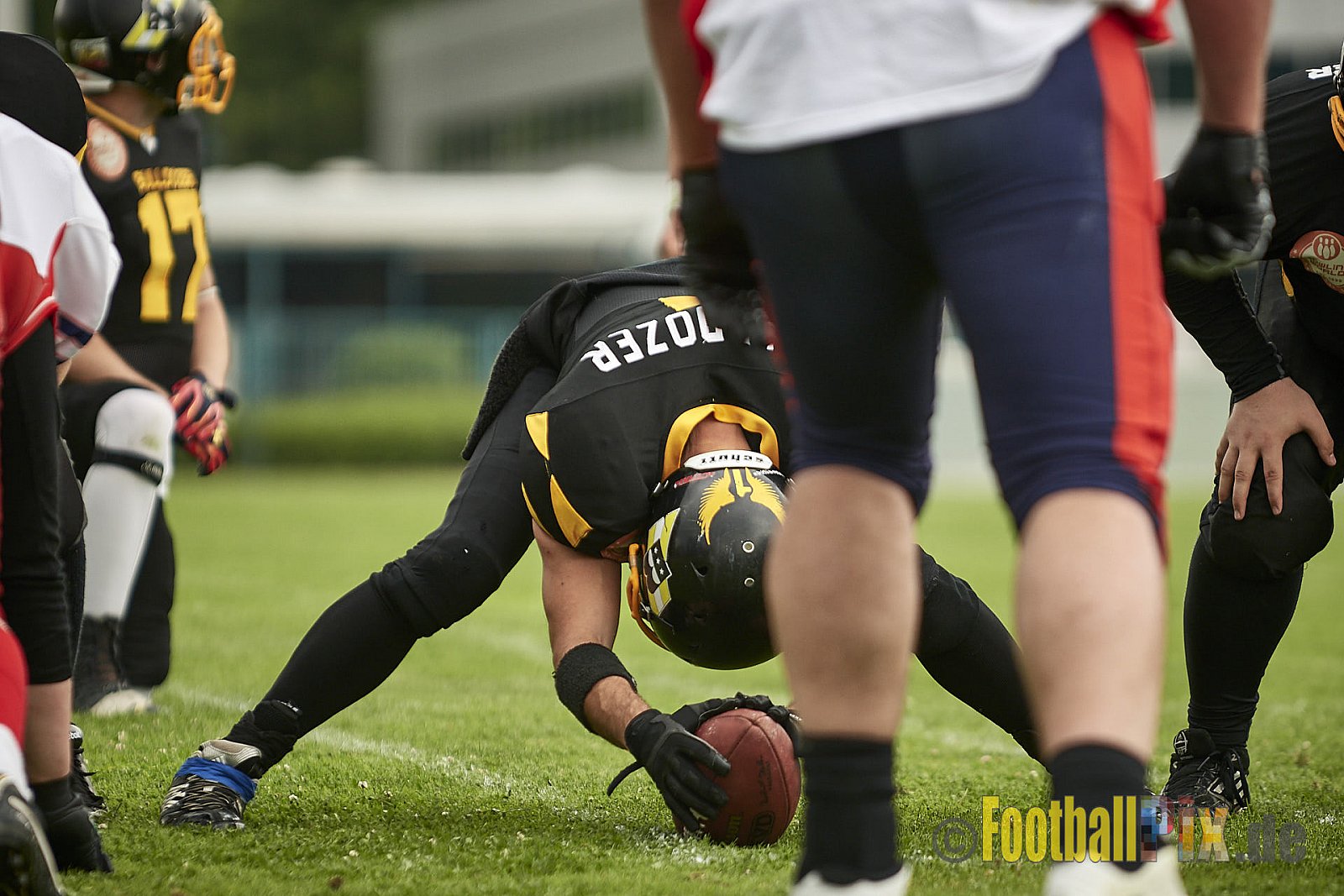 Düsseldorf Bulldozer vs. Kreis Heinsberg Bisons - 17.06.2017 LL NRW: Düsseldorf Bulldozer vs. Kreis Heinsberg Bisons (63:28)