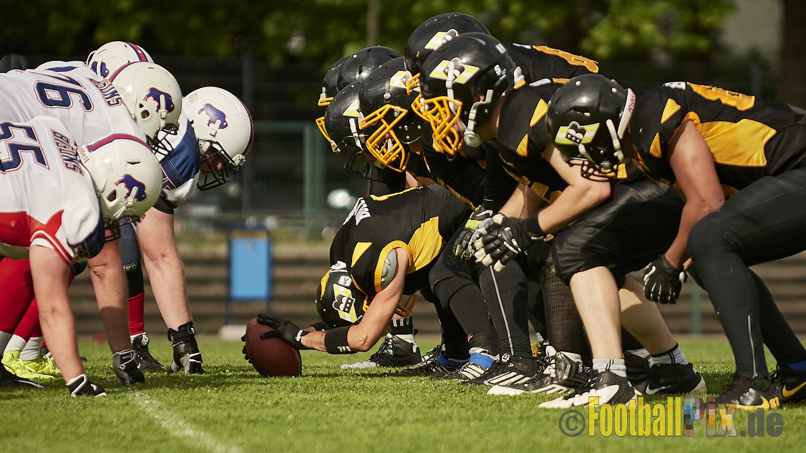 Düsseldorf Bulldozer vs. Kreis Heinsberg Bisons - 17.06.2017 LL NRW: Düsseldorf Bulldozer vs. Kreis Heinsberg Bisons (63:28)