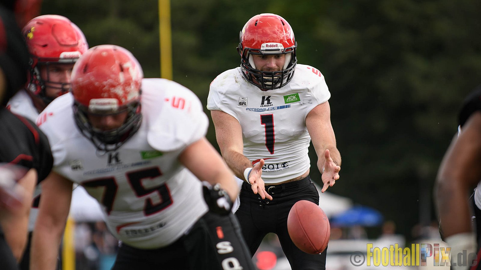 Düsseldorf Panther vs. Potsdam Royals - 29.07.2017 GFL2: Düsseldorf Panther vs. Potsdam Royals (7:30)