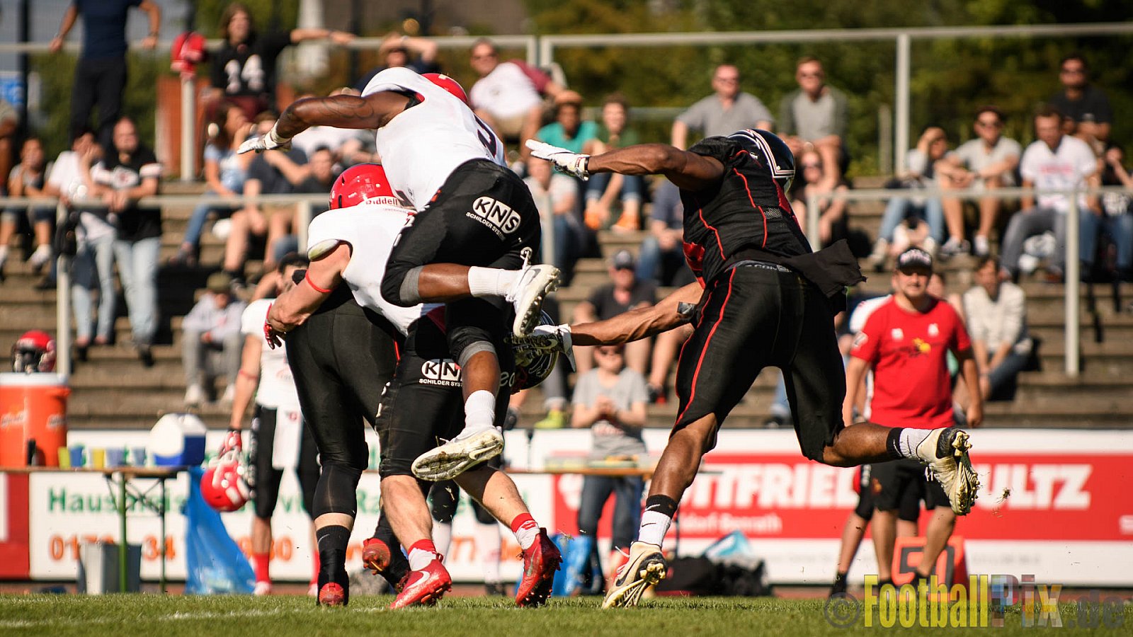 Düsseldorf Panther vs. Potsdam Royals - 29.07.2017 GFL2: Düsseldorf Panther vs. Potsdam Royals (7:30)