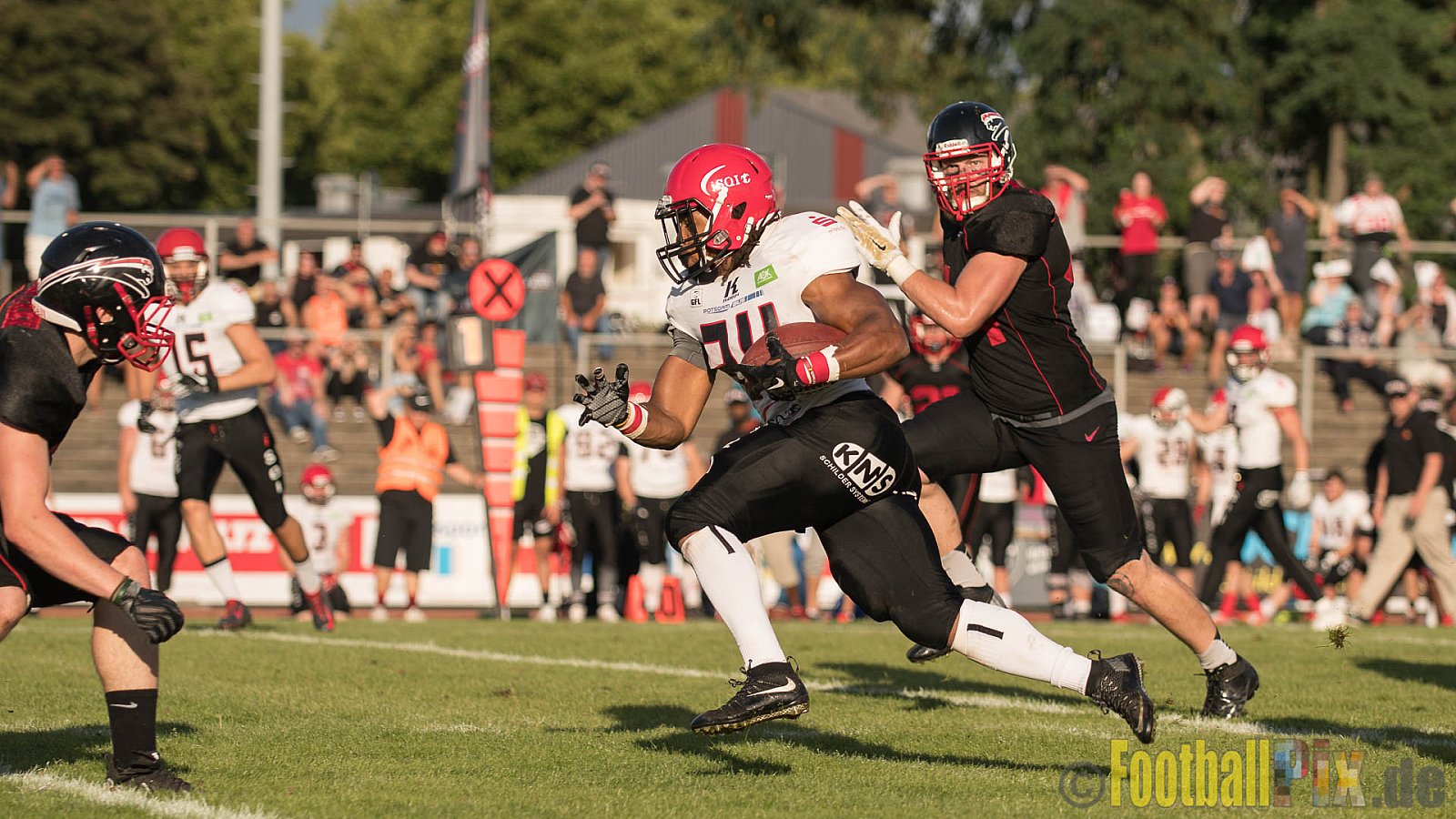 Düsseldorf Panther vs. Potsdam Royals - 29.07.2017 GFL2: Düsseldorf Panther vs. Potsdam Royals (7:30)