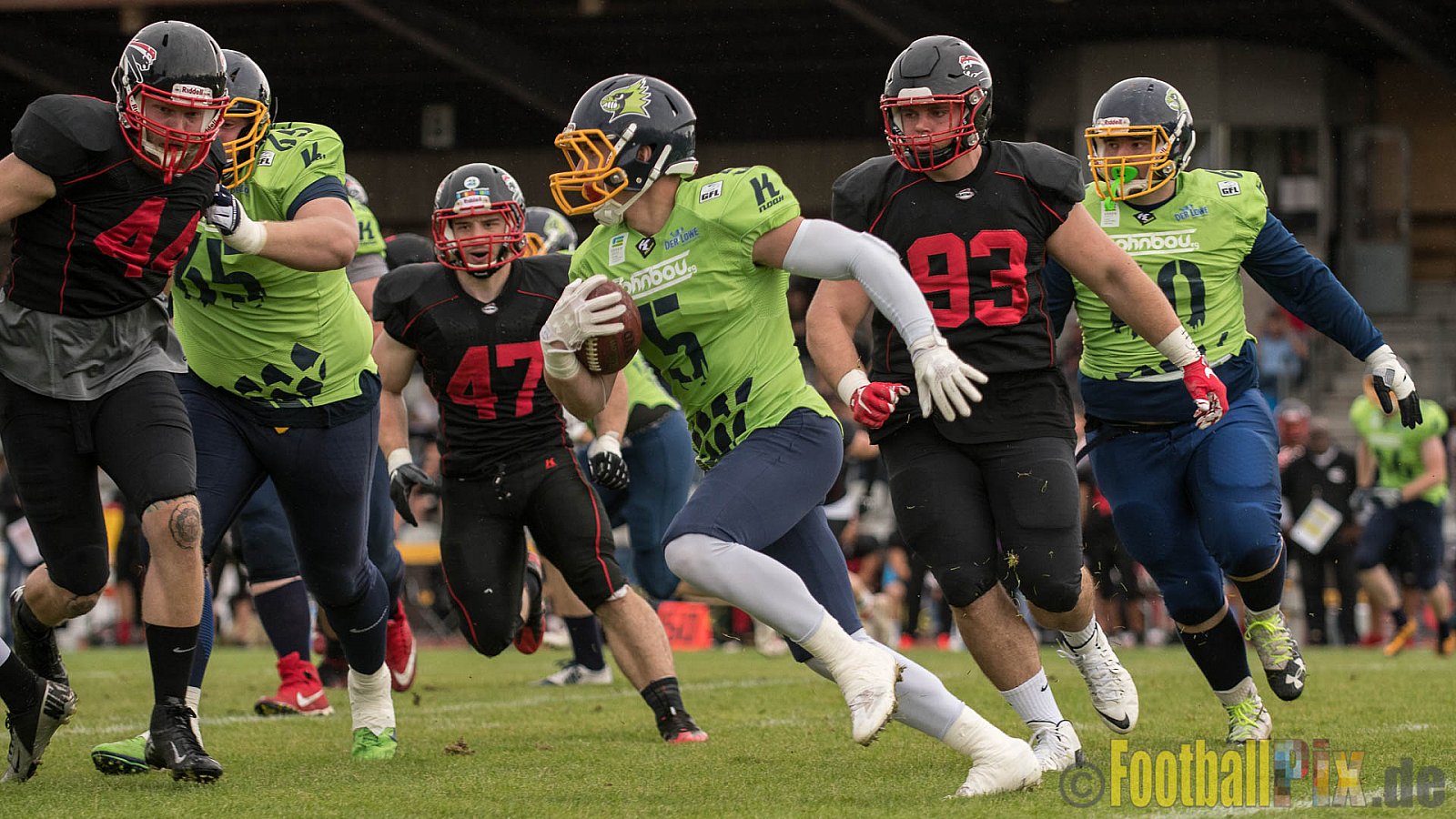 Düsseldorf Panther vs. Essen Assindia Cardinals - 05.08.2017 GFL2: Düsseldorf Panther vs. Essen Assindia Cardinals (47:7) 