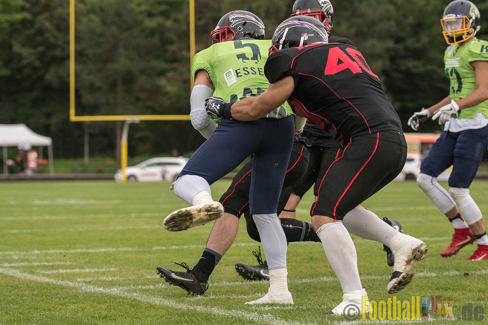 Düsseldorf Panther vs. Essen Assindia Cardinals - 05.08.2017 GFL2: Düsseldorf Panther vs. Essen Assindia Cardinals (47:7) 
