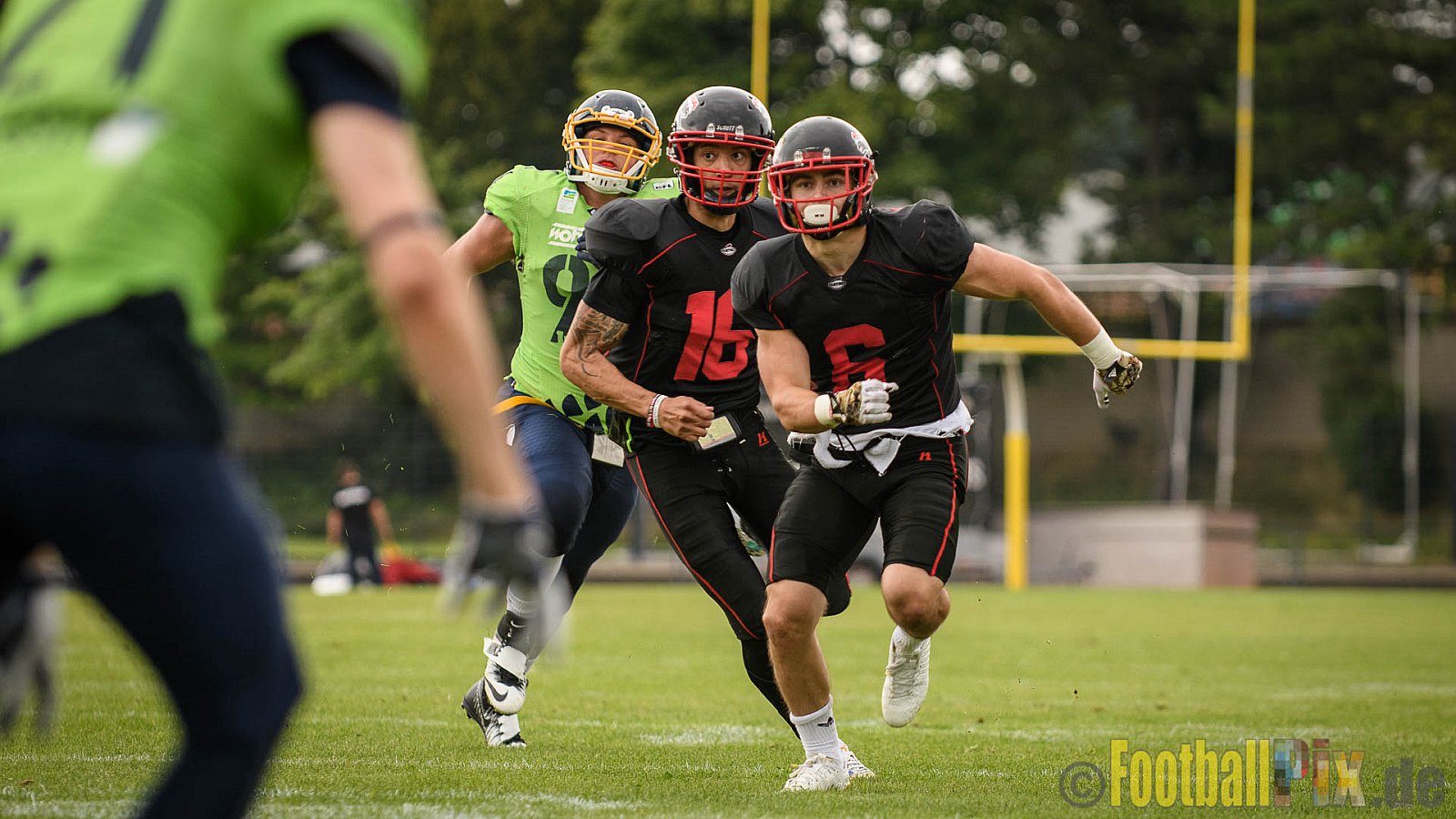 Düsseldorf Panther vs. Essen Assindia Cardinals - 05.08.2017 GFL2: Düsseldorf Panther vs. Essen Assindia Cardinals (47:7) 