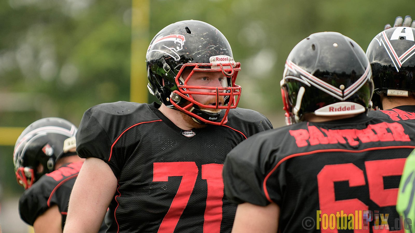 Düsseldorf Panther vs. Essen Assindia Cardinals - 05.08.2017 GFL2: Düsseldorf Panther vs. Essen Assindia Cardinals (47:7) 