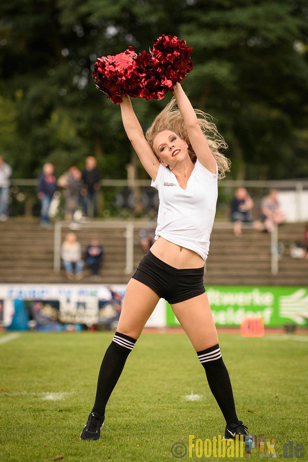 Düsseldorf Panther vs. Essen Assindia Cardinals - 05.08.2017 GFL2: Düsseldorf Panther vs. Essen Assindia Cardinals (47:7) 