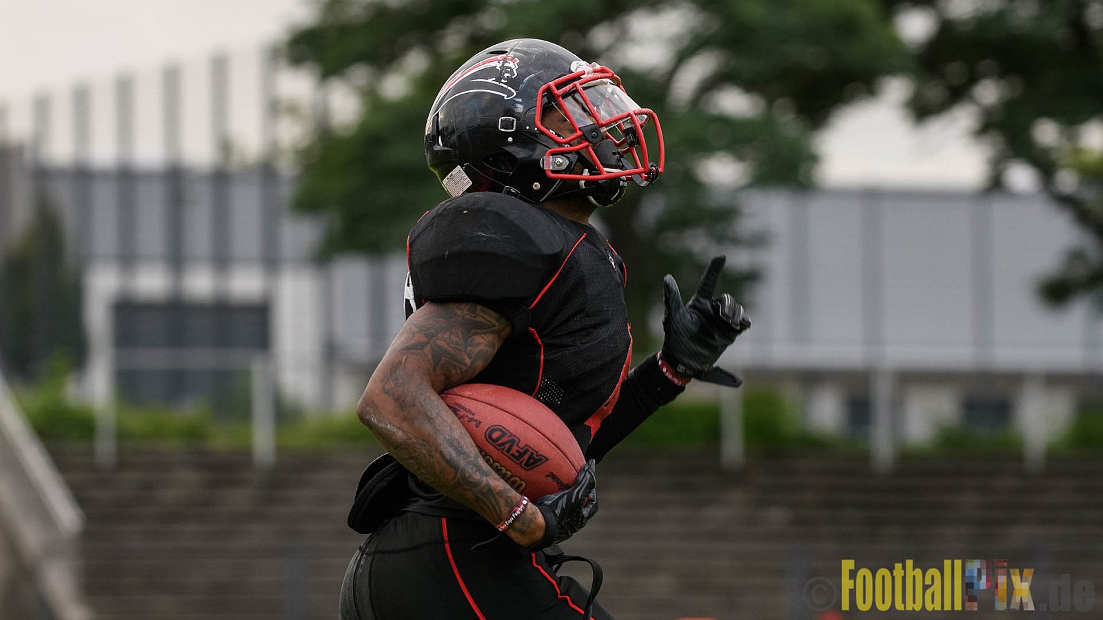 Düsseldorf Panther vs. Essen Assindia Cardinals - 05.08.2017 GFL2: Düsseldorf Panther vs. Essen Assindia Cardinals (47:7) 