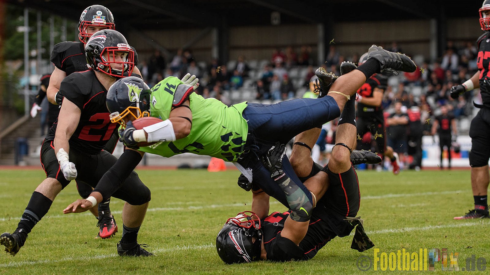 Düsseldorf Panther vs. Essen Assindia Cardinals - 05.08.2017 GFL2: Düsseldorf Panther vs. Essen Assindia Cardinals (47:7) 