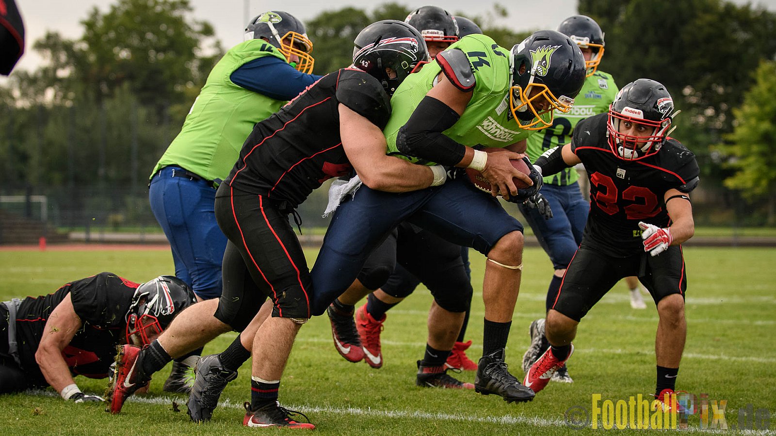 Düsseldorf Panther vs. Essen Assindia Cardinals - 05.08.2017 GFL2: Düsseldorf Panther vs. Essen Assindia Cardinals (47:7) 