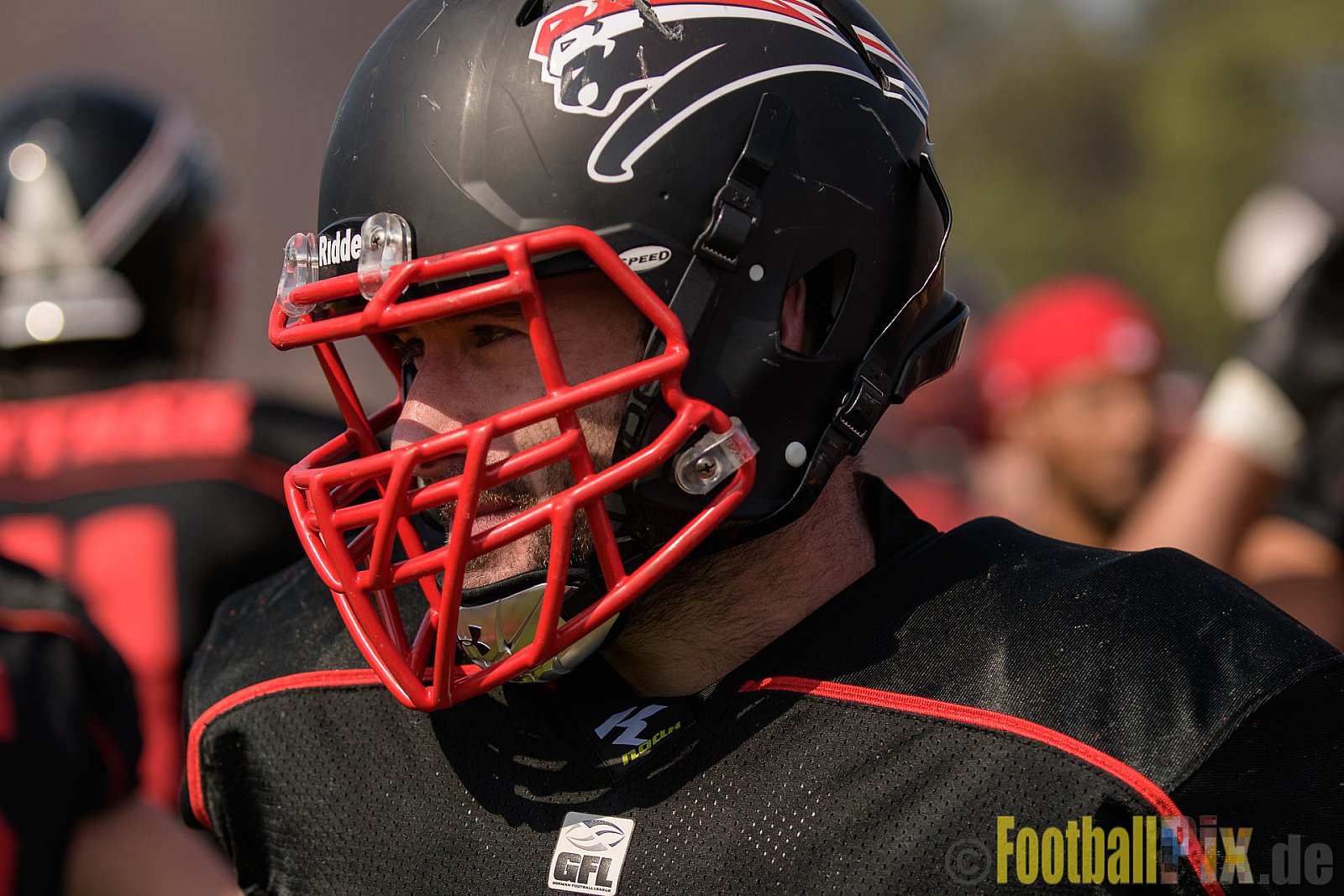 Düsseldorf Panther vs. Bonn Gamecocks - 27.08.2017 GFL2: Düsseldorf Panther vs. Bonn Gamecocks (58:12)