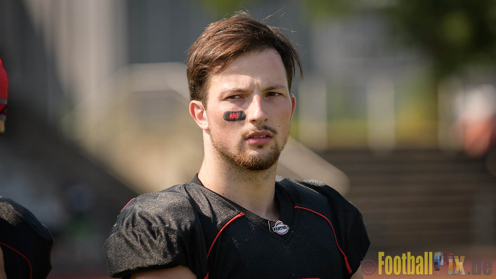 Düsseldorf Panther vs. Bonn Gamecocks - 27.08.2017 GFL2: Düsseldorf Panther vs. Bonn Gamecocks (58:12)