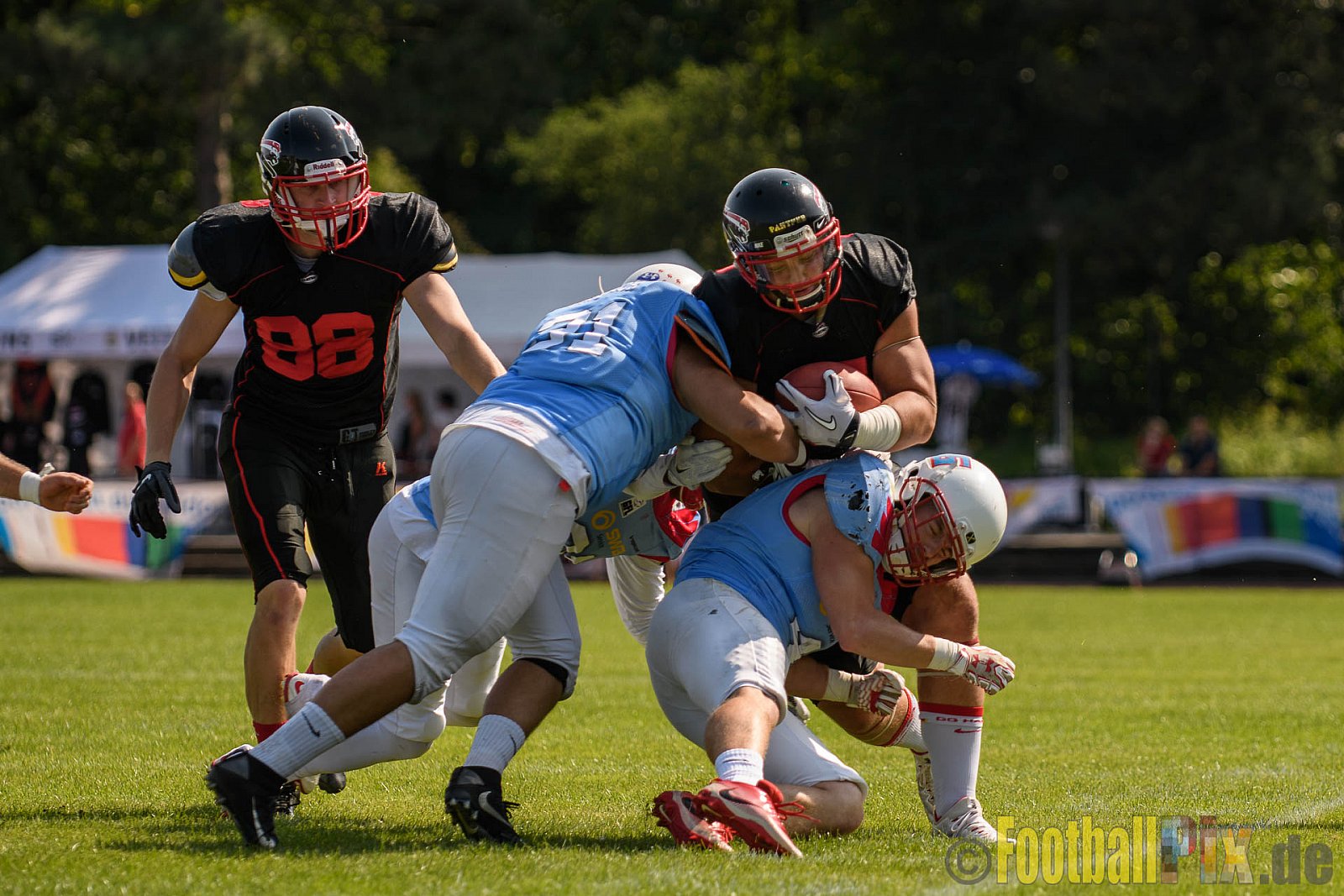 Düsseldorf Panther vs. Bonn Gamecocks - 27.08.2017 GFL2: Düsseldorf Panther vs. Bonn Gamecocks (58:12)