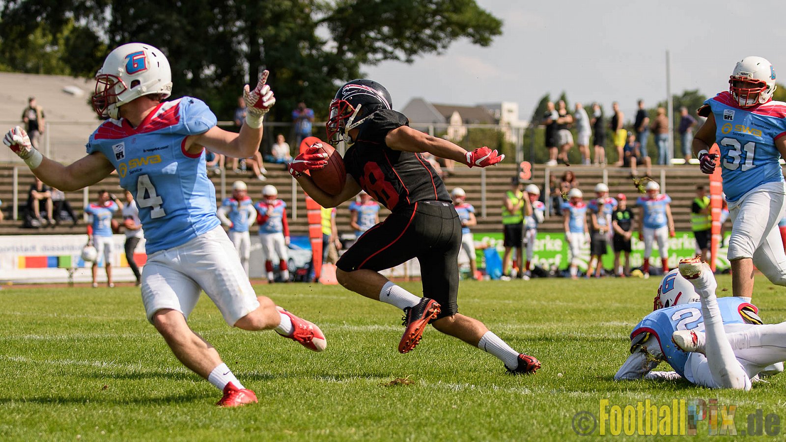 Düsseldorf Panther vs. Bonn Gamecocks - 27.08.2017 GFL2: Düsseldorf Panther vs. Bonn Gamecocks (58:12)