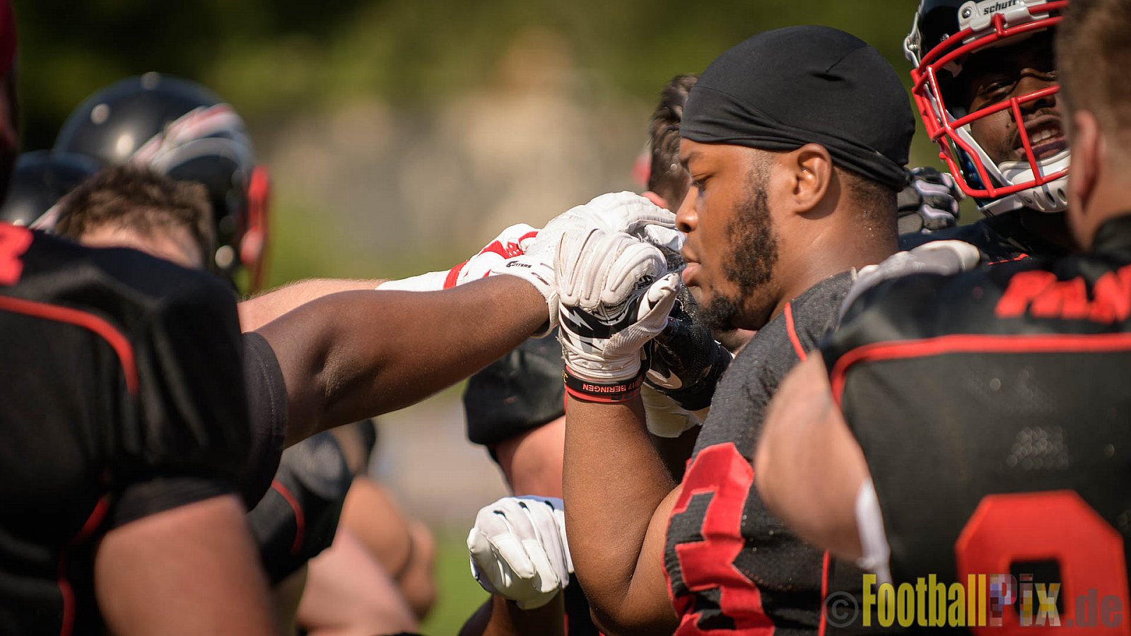Düsseldorf Panther vs. Bonn Gamecocks - 27.08.2017 GFL2: Düsseldorf Panther vs. Bonn Gamecocks (58:12)