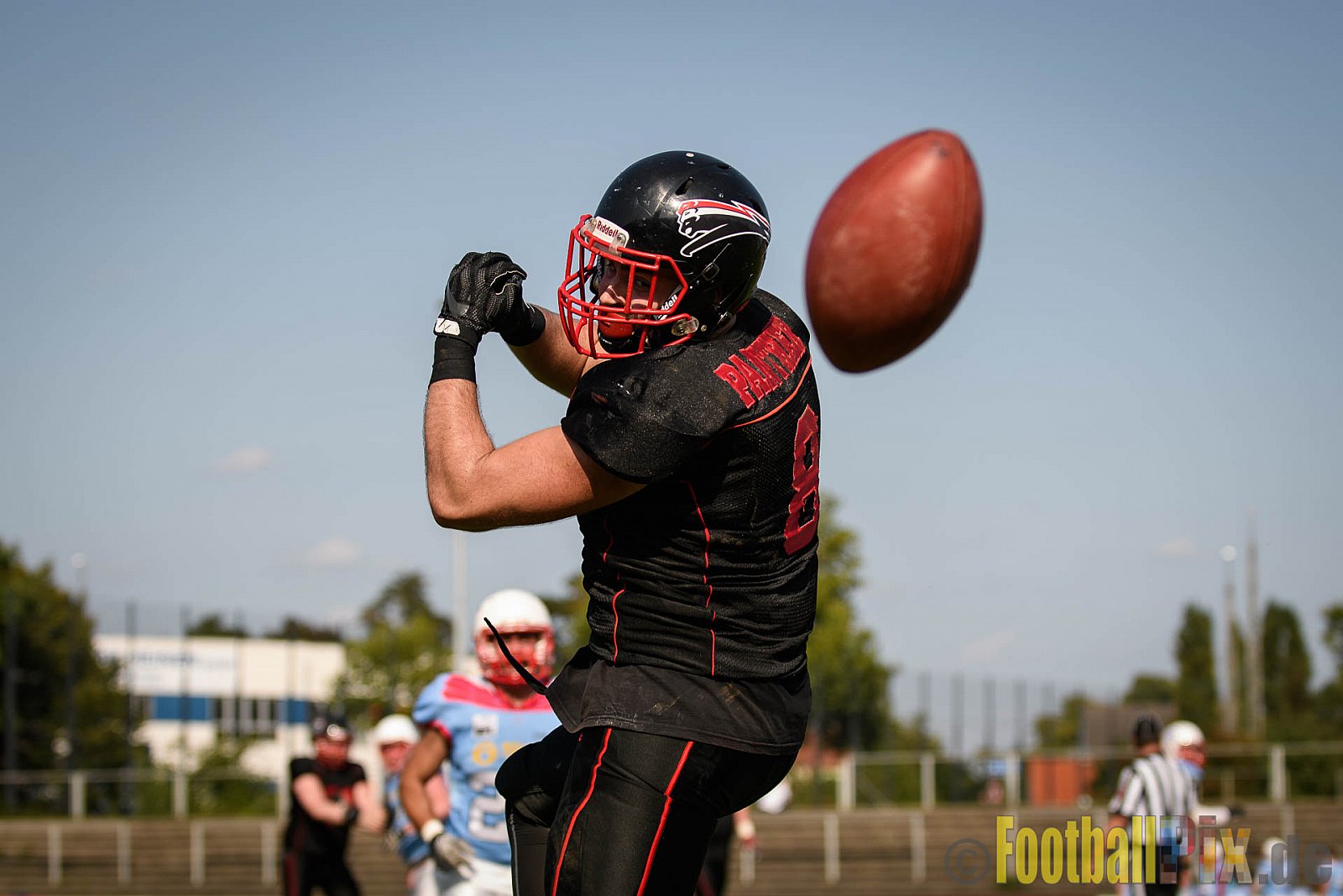 Düsseldorf Panther vs. Bonn Gamecocks - 27.08.2017 GFL2: Düsseldorf Panther vs. Bonn Gamecocks (58:12)