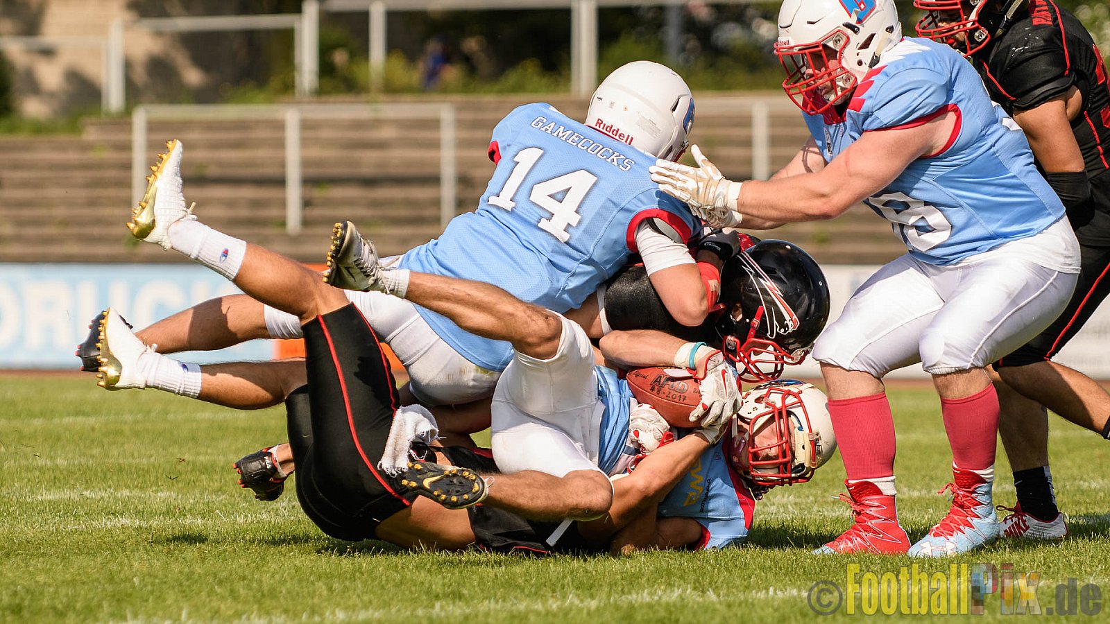Düsseldorf Panther vs. Bonn Gamecocks - 27.08.2017 GFL2: Düsseldorf Panther vs. Bonn Gamecocks (58:12)