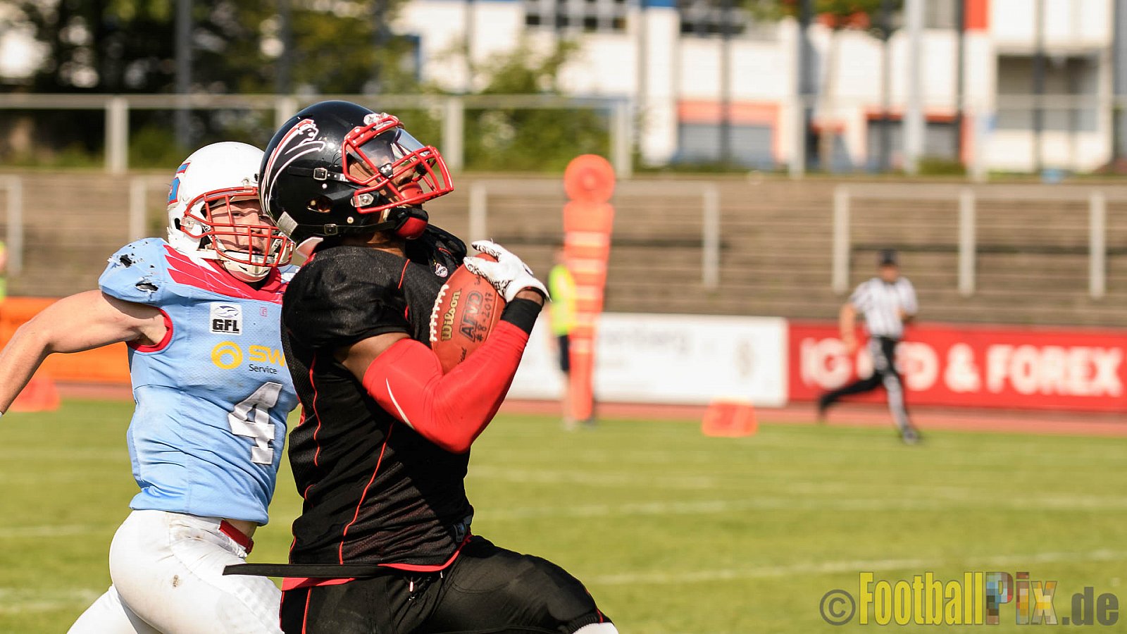 Düsseldorf Panther vs. Bonn Gamecocks - 27.08.2017 GFL2: Düsseldorf Panther vs. Bonn Gamecocks (58:12)