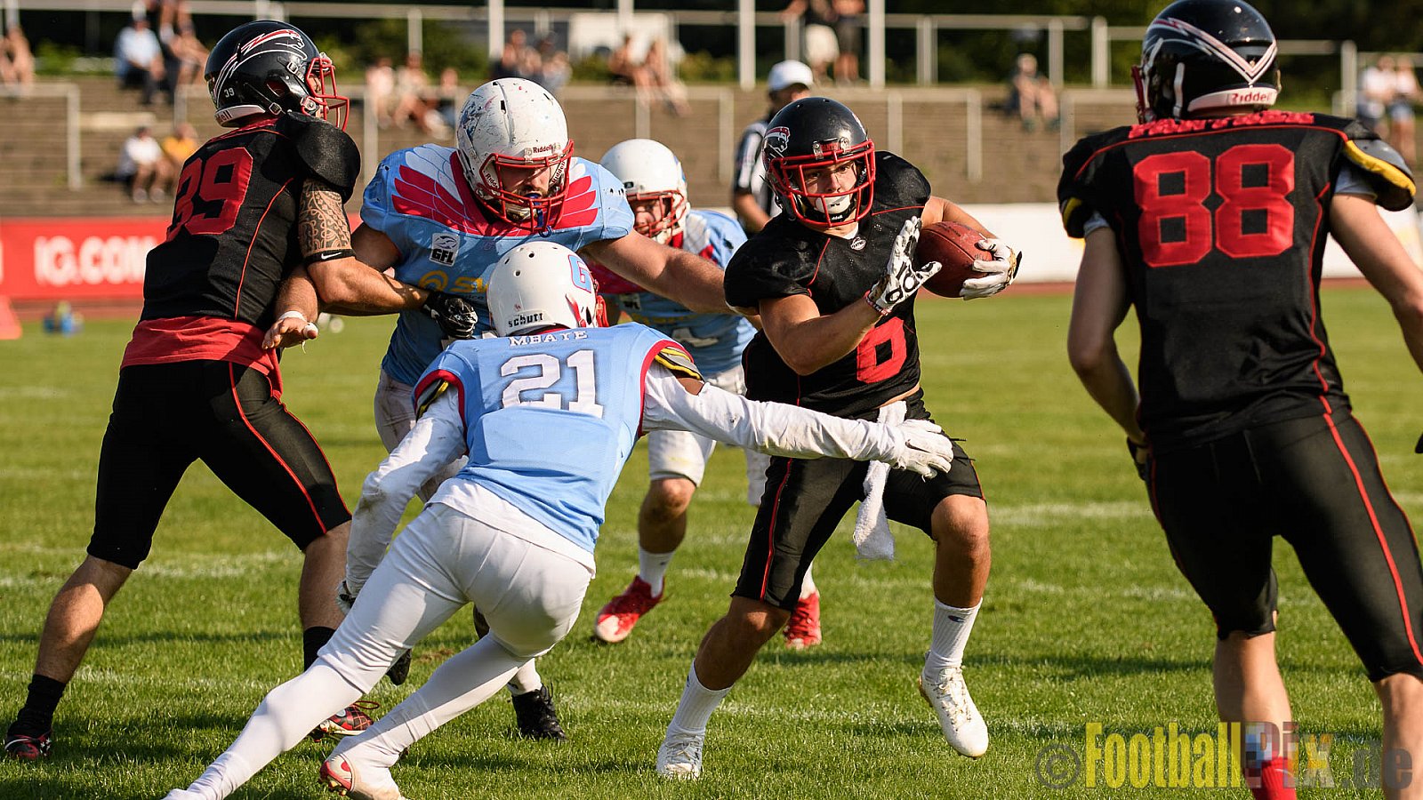 Düsseldorf Panther vs. Bonn Gamecocks - 27.08.2017 GFL2: Düsseldorf Panther vs. Bonn Gamecocks (58:12)