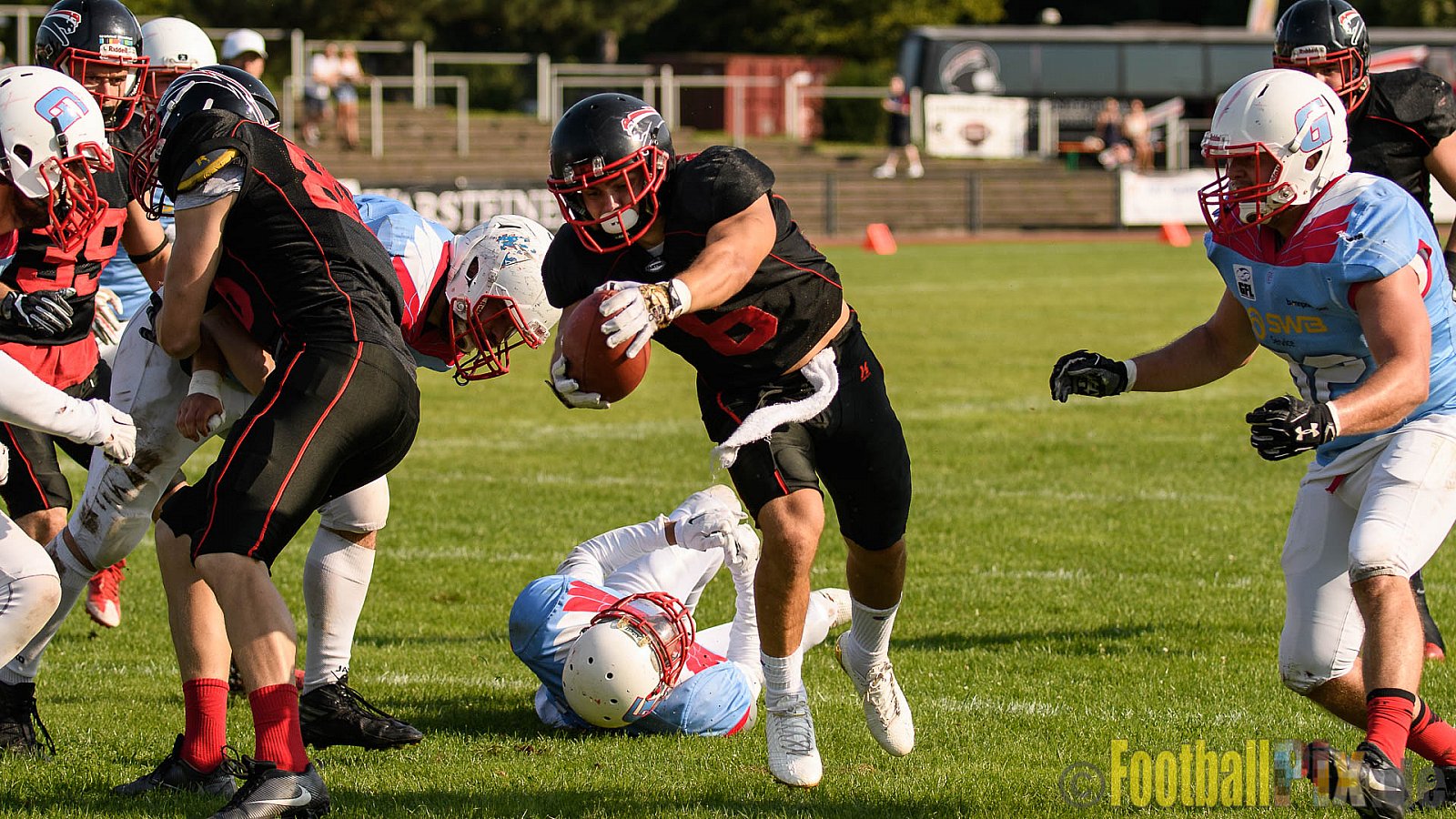 Düsseldorf Panther vs. Bonn Gamecocks - 27.08.2017 GFL2: Düsseldorf Panther vs. Bonn Gamecocks (58:12)