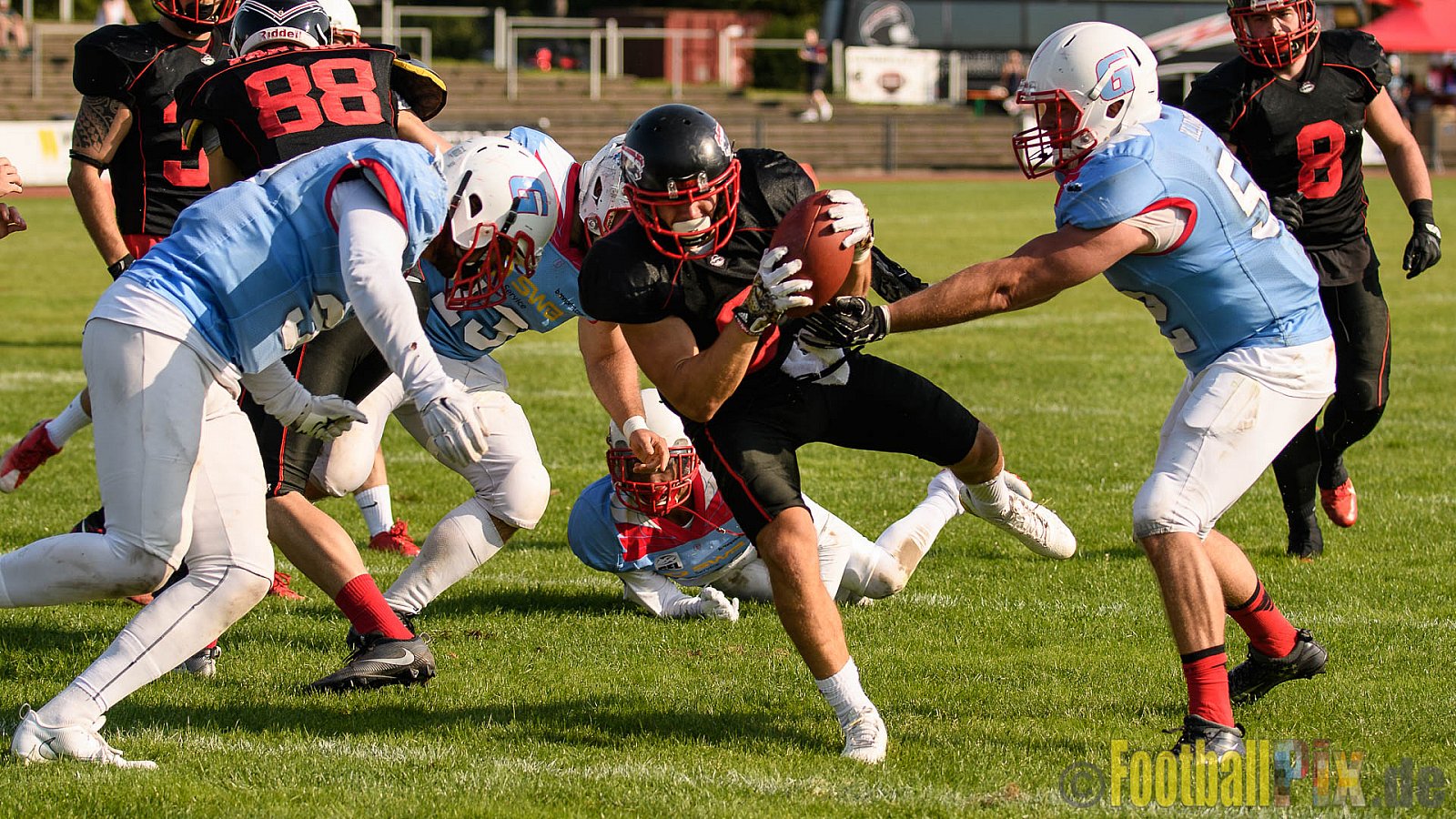 Düsseldorf Panther vs. Bonn Gamecocks - 27.08.2017 GFL2: Düsseldorf Panther vs. Bonn Gamecocks (58:12)