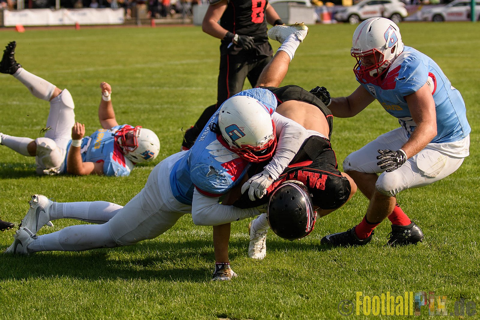 Düsseldorf Panther vs. Bonn Gamecocks - 27.08.2017 GFL2: Düsseldorf Panther vs. Bonn Gamecocks (58:12)
