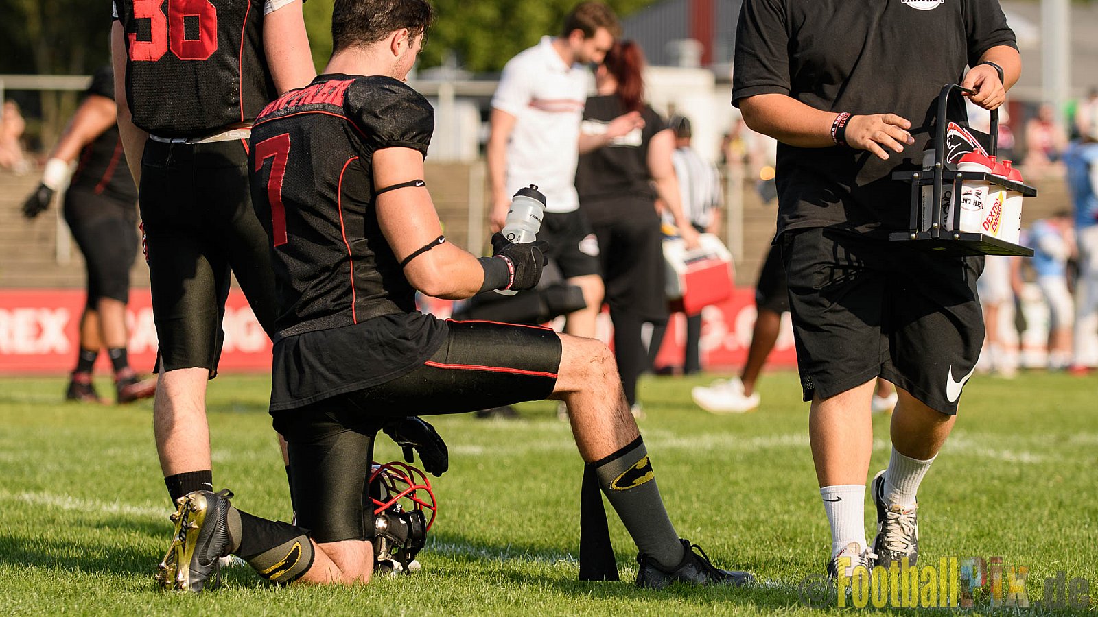 Düsseldorf Panther vs. Bonn Gamecocks - 27.08.2017 GFL2: Düsseldorf Panther vs. Bonn Gamecocks (58:12)