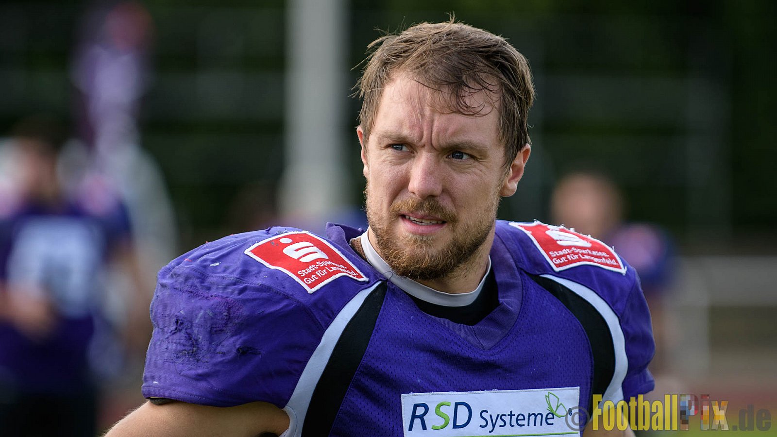Langenfeld Longhorns vs. Essen Assindia Cardinals - 03.09.2017 GFL2: Langenfeld Longhorns vs. Essen Assindia Cardinals (45:30)