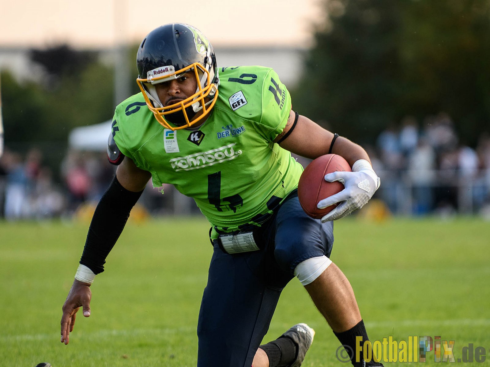 Langenfeld Longhorns vs. Essen Assindia Cardinals - 03.09.2017 GFL2: Langenfeld Longhorns vs. Essen Assindia Cardinals (45:30)